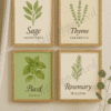 Botanical Herb Prints with Soft Accents Framed printable herb art set featuring Sage, Thyme, Rosemary, and Basil in a styled kitchen setting with overlapping props to prevent copying.