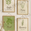 herb art Framed printable herb art set featuring Sage, Thyme, Rosemary, and Basil in a styled kitchen setting with overlapping props to prevent copying.